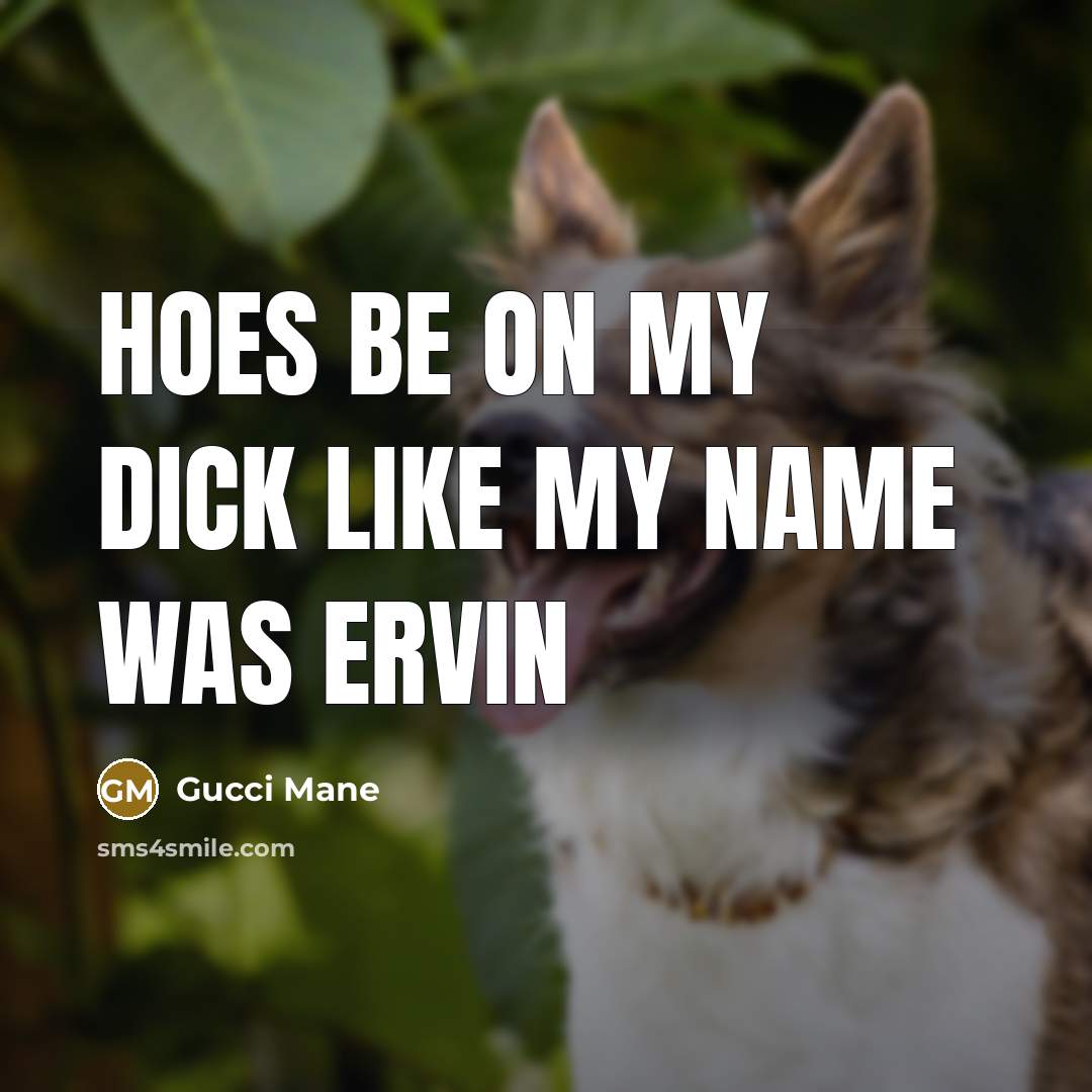 “Hoes be on my dick like my name was ervin…” quote by Gucci Mane