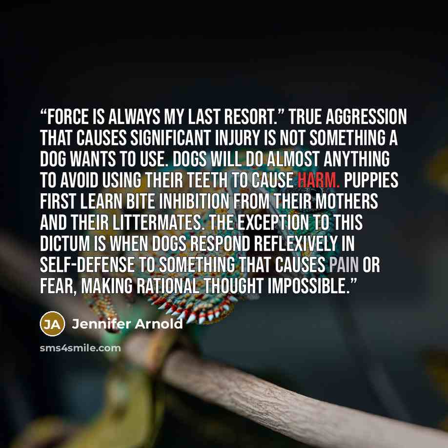 “Force is always my last resort.” True aggression that causes significant injury is not something a dog wants to use. Dogs will do almost anything to avoid using their teeth to cause harm. Puppies first learn bite inhibition from their mothers and their littermates. The exception to this dictum is…” quote by Jennifer Arnold