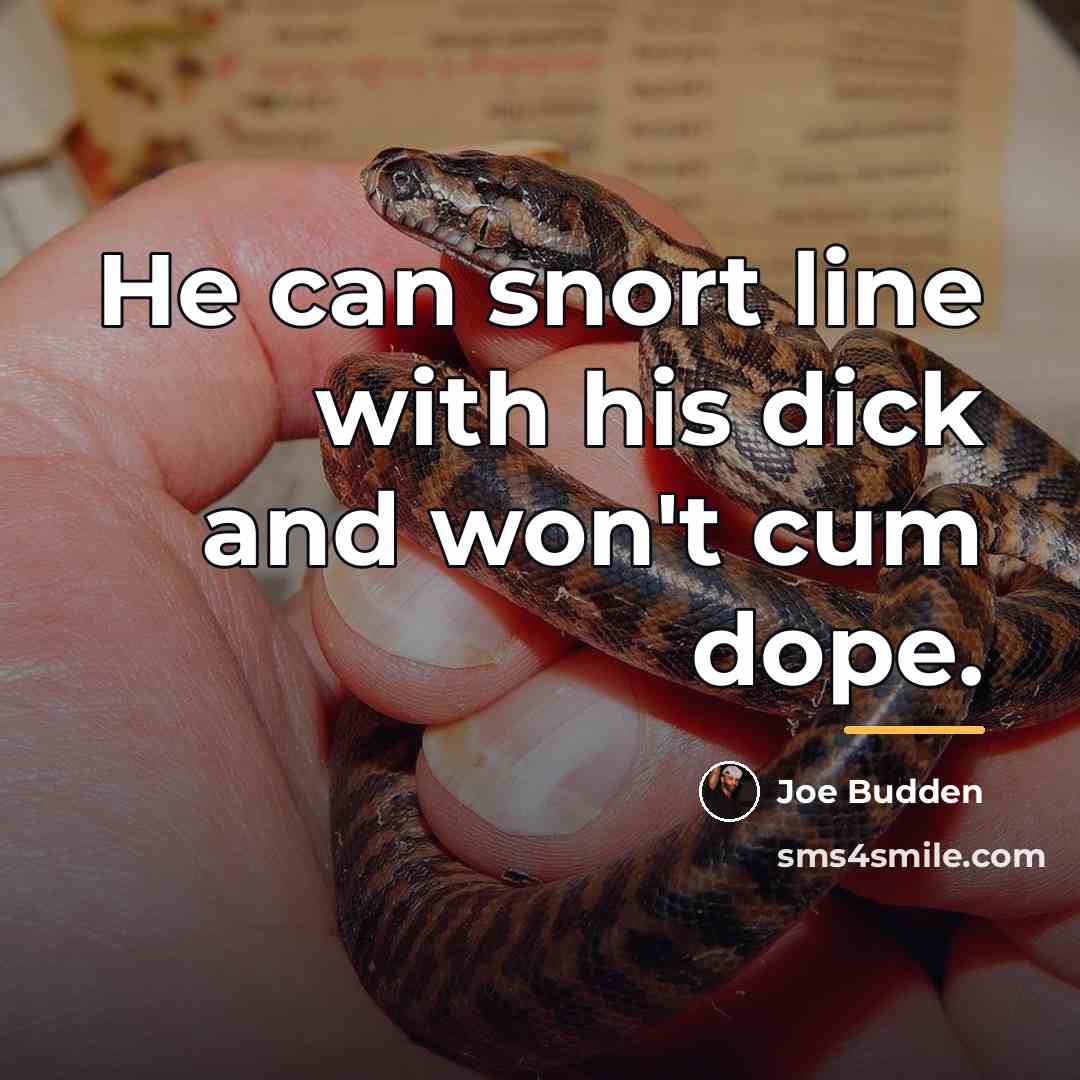 “He can snort line with his dick and won't cum…” quote by Joe Budden