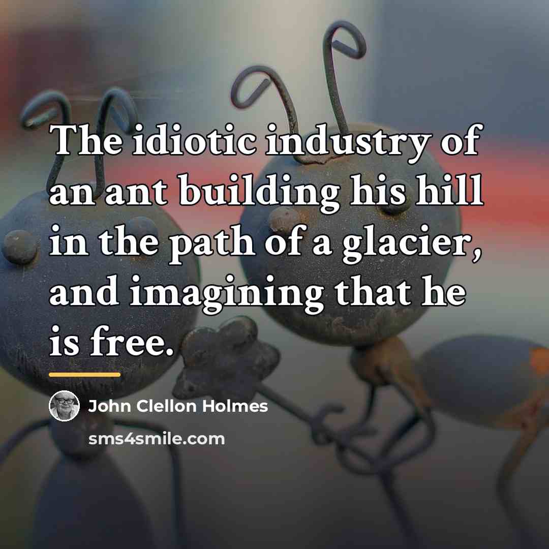“The idiotic industry of an ant building his hill in…” quote by John Clellon Holmes