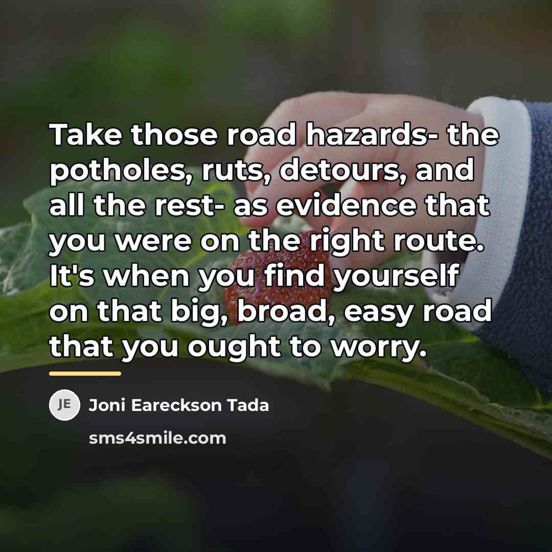 “Take those road hazards- the potholes, ruts, detours, and all…” quote by Joni Eareckson Tada