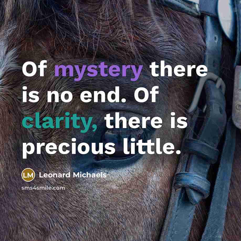 “Of mystery there is no end. Of clarity, there is…” quote by Leonard Michaels