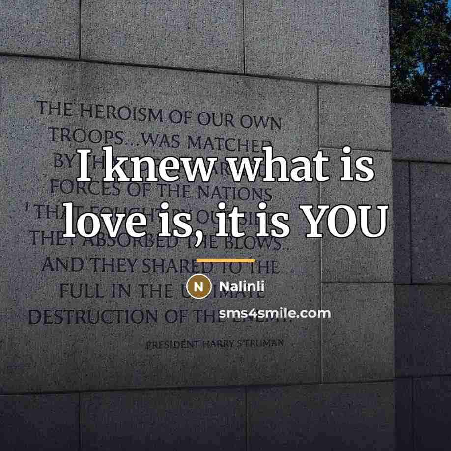 “I knew what is love is, it is YOU…” quote by Nalinli