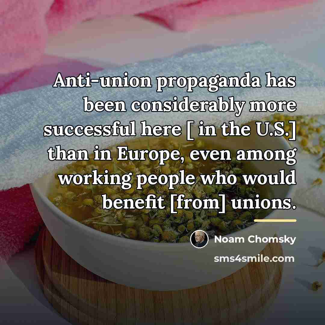“Anti-union propaganda has been considerably more successful here [ in…” quote by Noam Chomsky