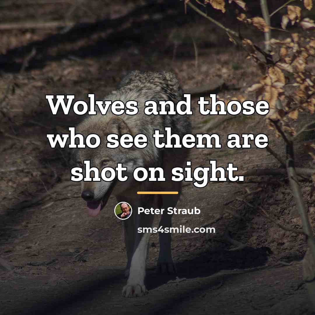“Wolves and those who see them are shot on sight.…” quote by Peter Straub