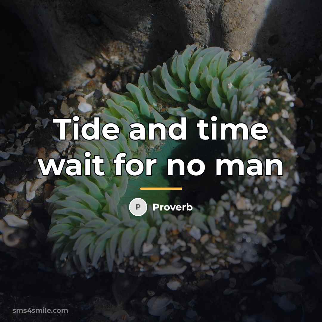 “Tide and time wait for no man…” quote by Proverb