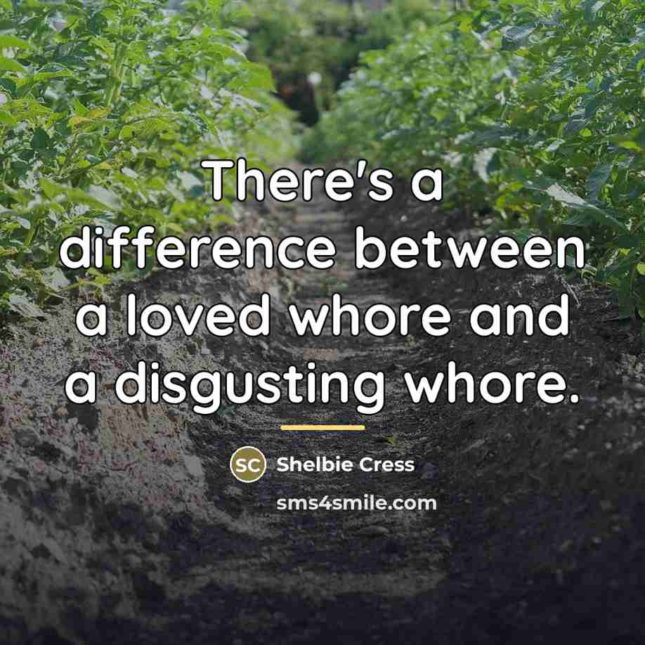 “There's a difference between a loved whore and a disgusting…” quote by Shelbie Cress