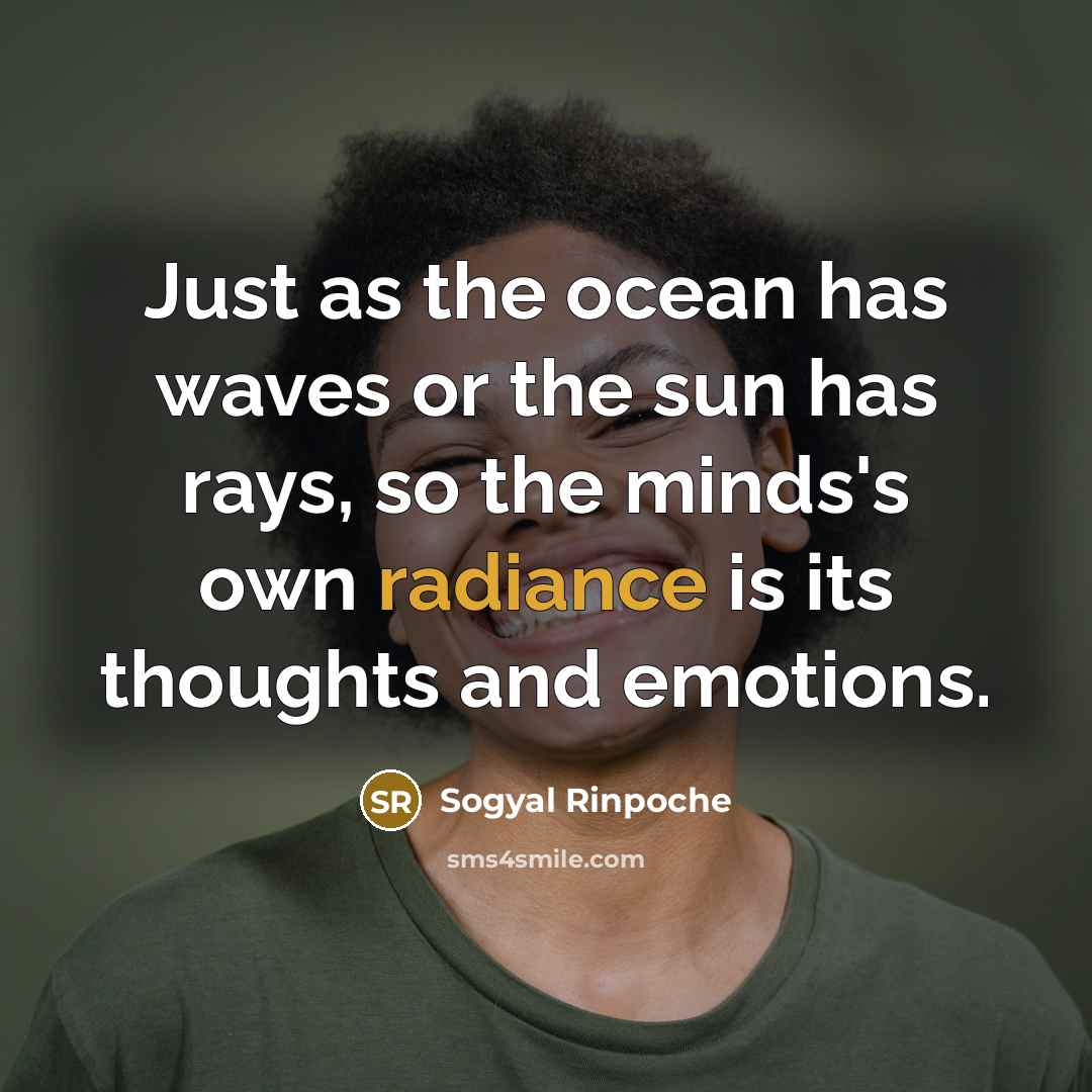 “Just as the ocean has waves or the sun has…” quote by Sogyal Rinpoche