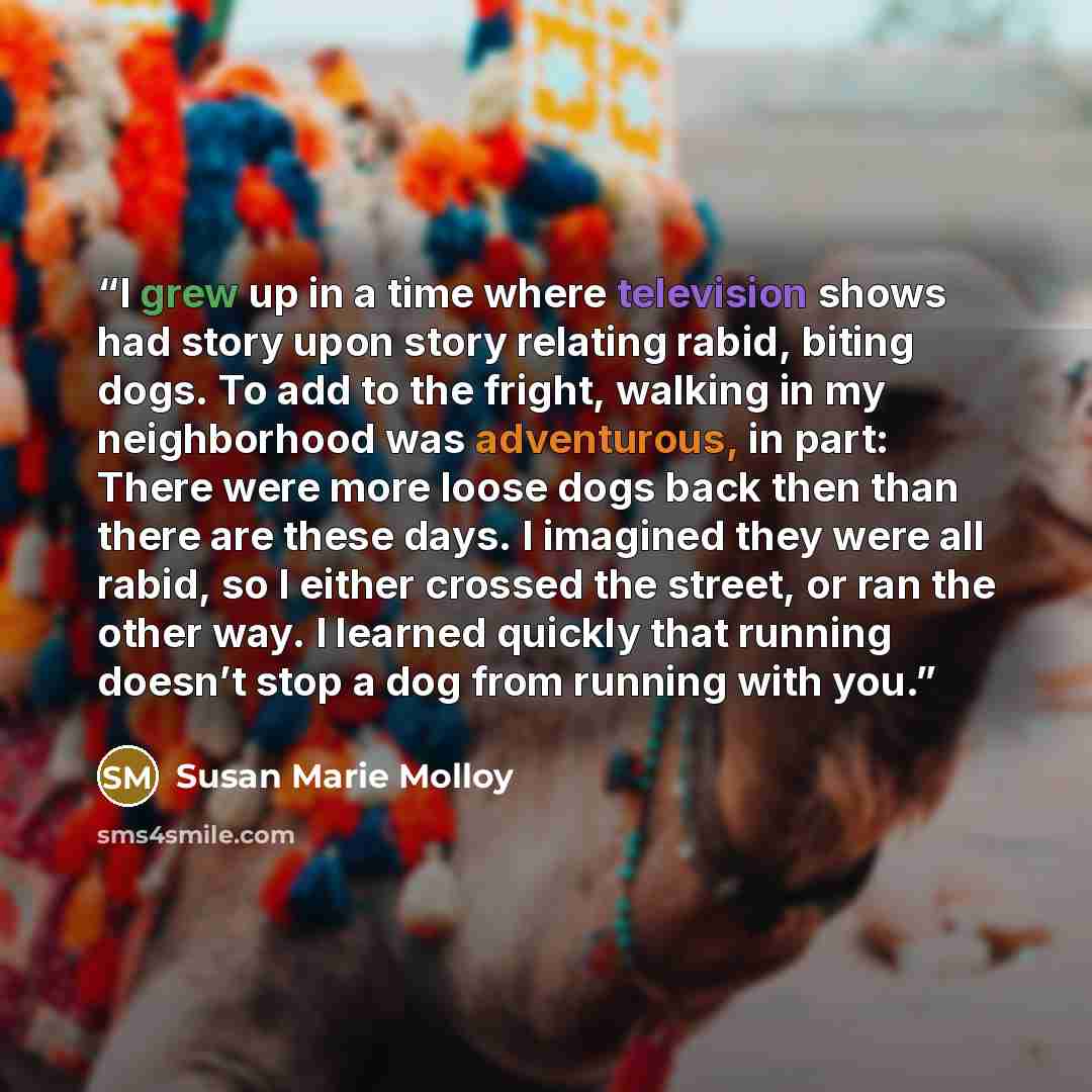 “I grew up in a time where television shows had story upon story relating rabid, biting dogs. To add to the fright, walking in my neighborhood was adventurous, in part: There were more loose dogs back then than there are these days. I imagined they were all rabid, so I either crossed the street, or…” quote by Susan Marie Molloy