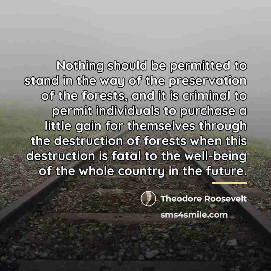 “Nothing should be permitted to stand in the way of…” quote by Theodore Roosevelt