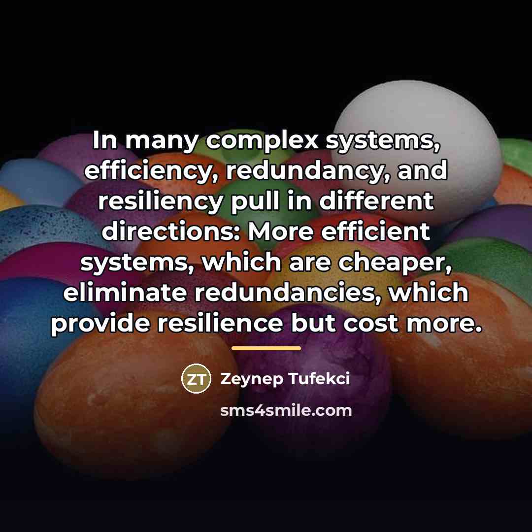 “In many complex systems, efficiency, redundancy, and resiliency pull in…” quote by Zeynep Tufekci