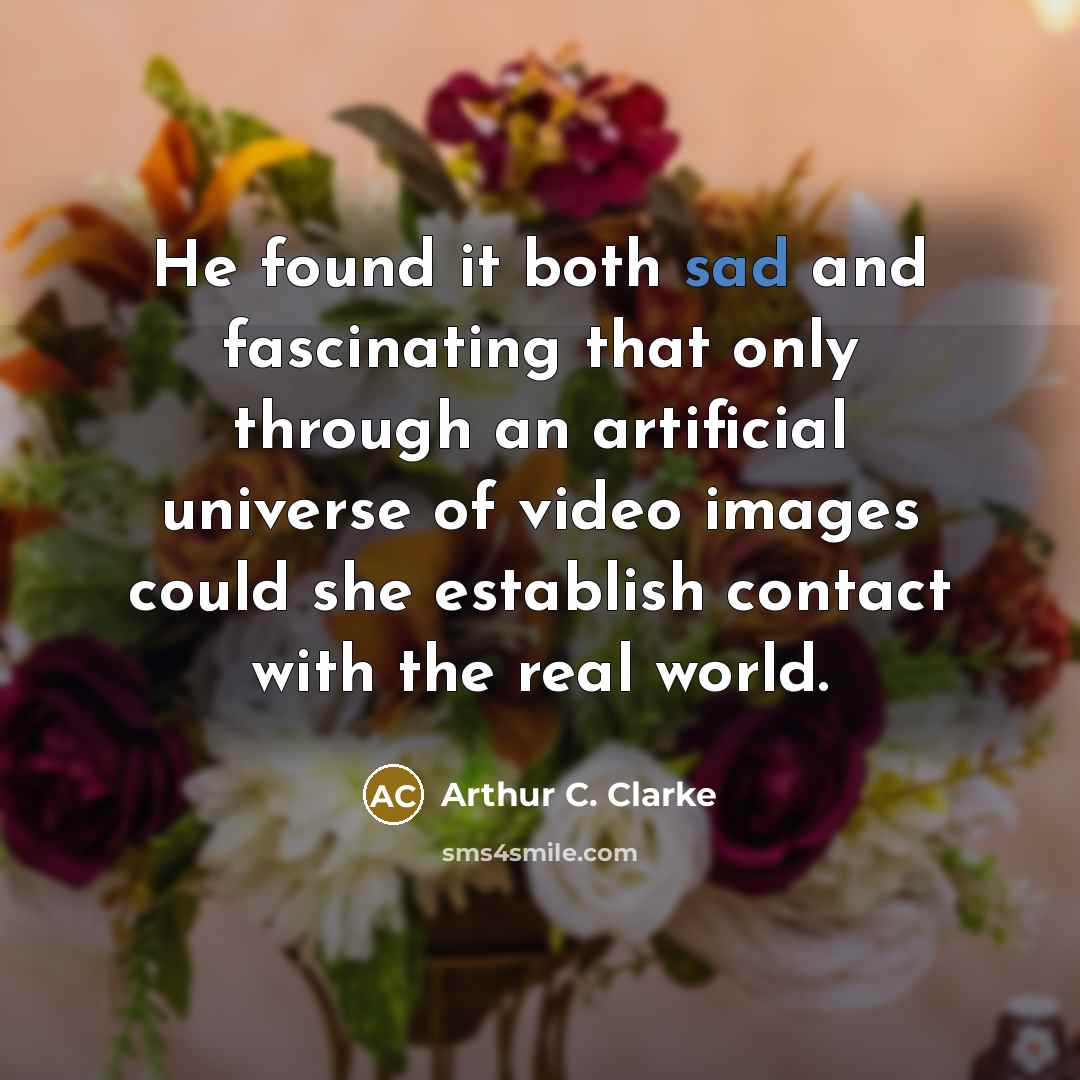 “He found it both sad and fascinating that only through an artificial universe of video images could she establish contact with the real world.” quote by Arthur C. Clarke