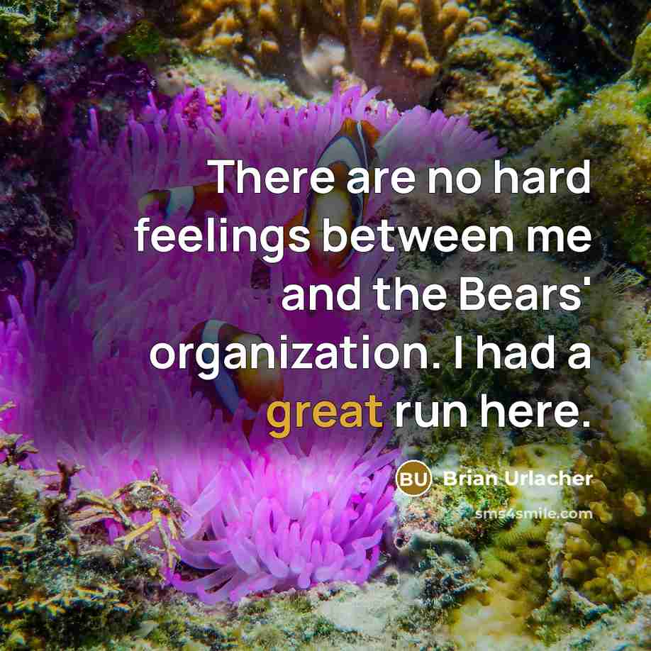 “There are no hard feelings between me and the Bears'…” quote by Brian Urlacher
