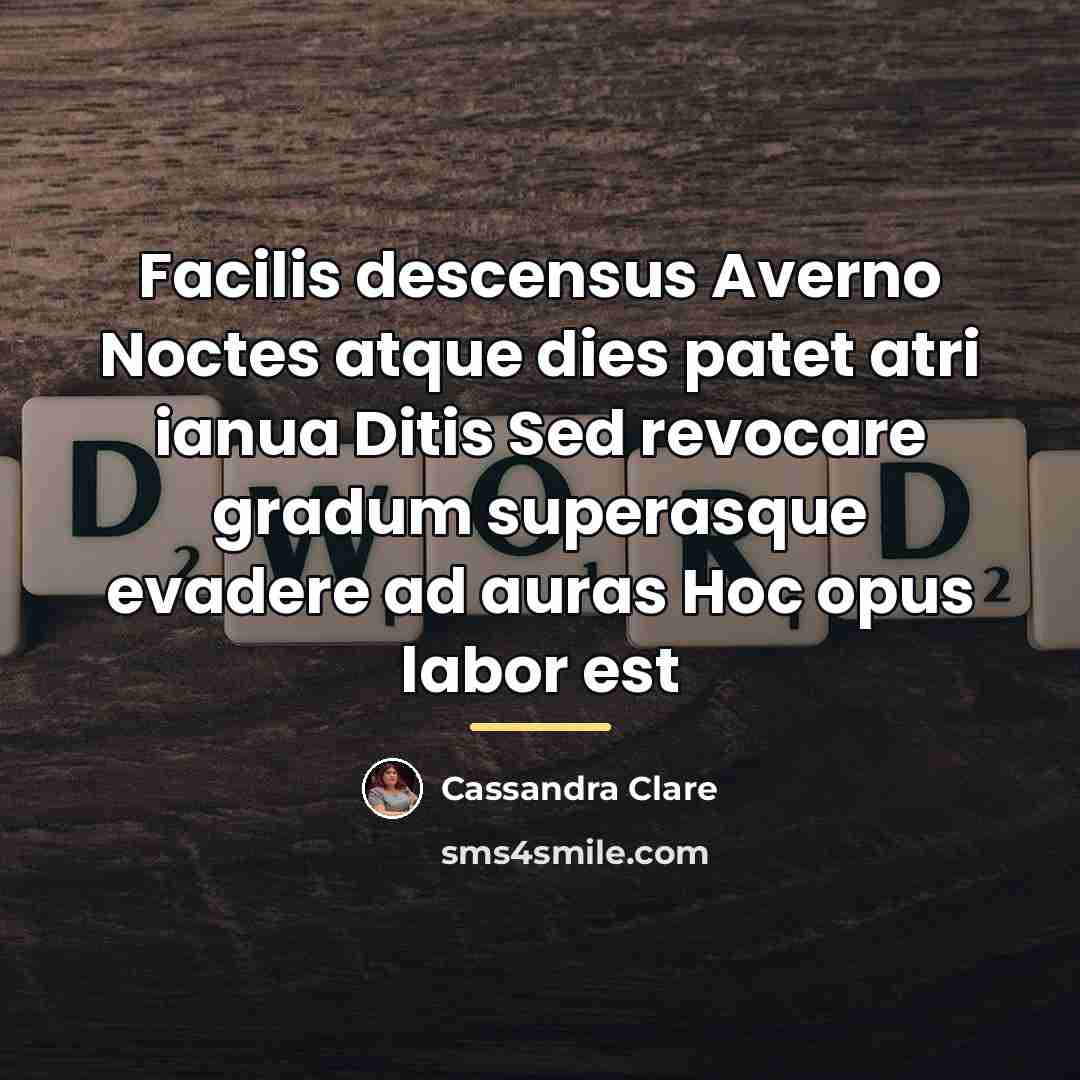 “Facilis descensus Averno Noctes atque dies patet atri ianua Ditis…” quote by Cassandra Clare