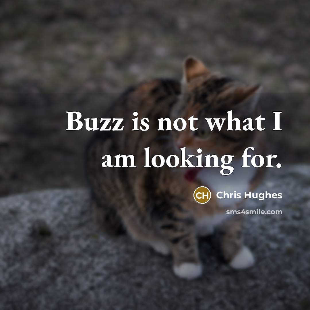 “Buzz is not what I am looking for.…” quote by Chris Hughes