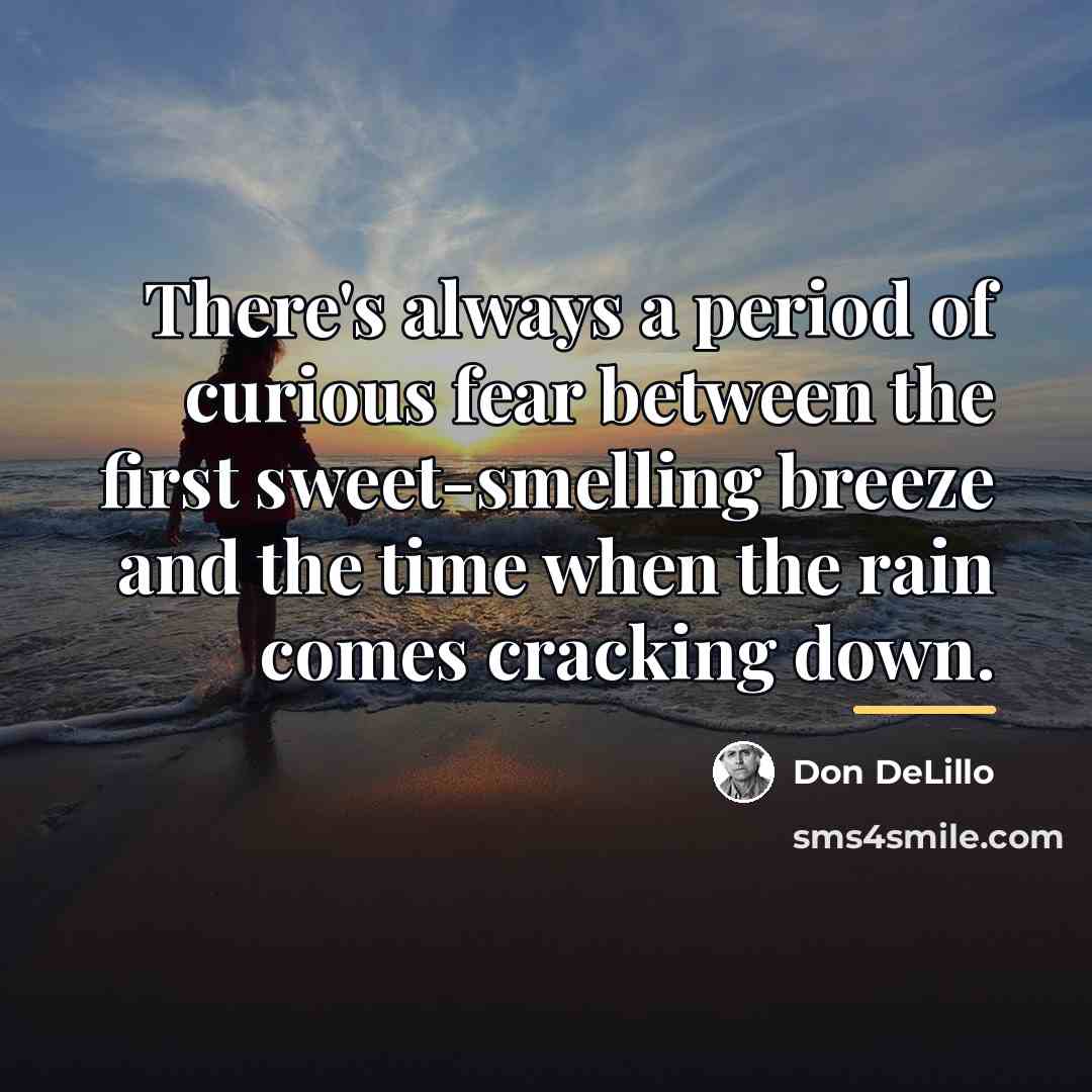 “There's always a period of curious fear between the first…” quote by Don DeLillo