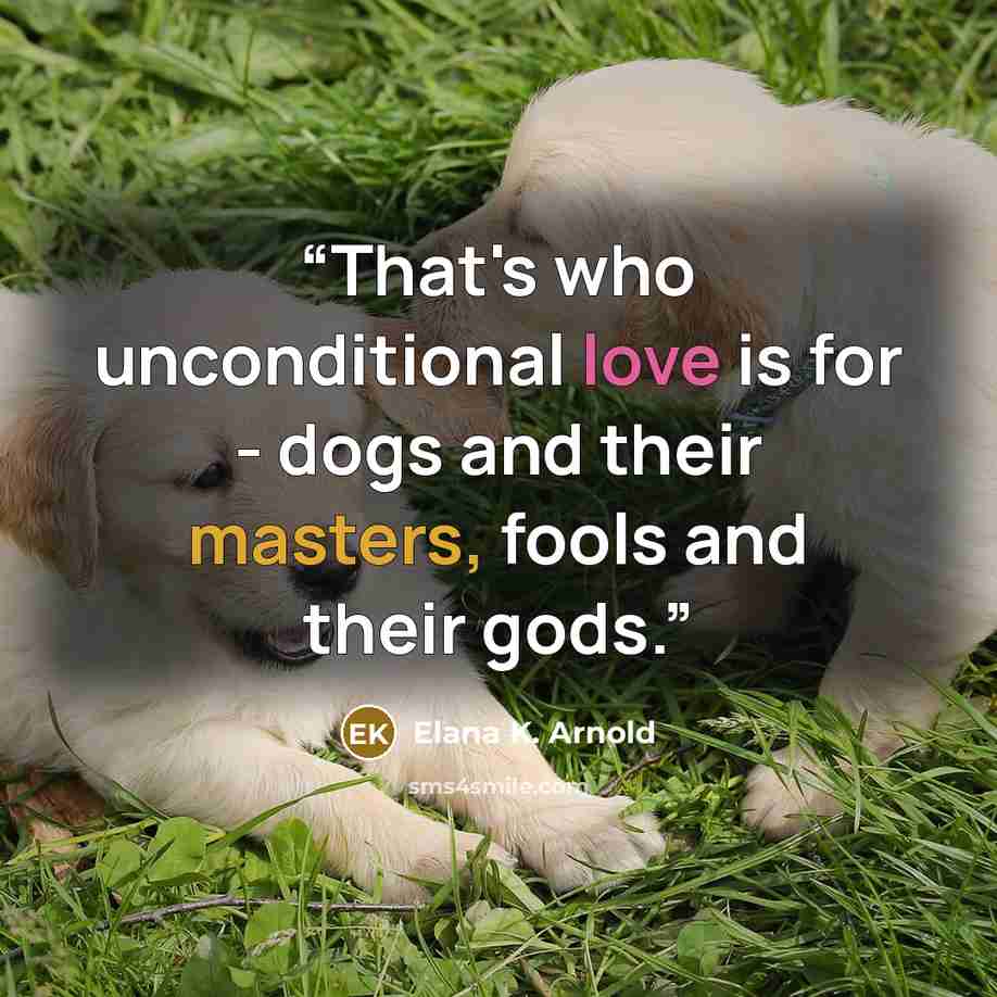 “That's who unconditional love is for - dogs and their masters, fools and their gods.” quote by Elana K. Arnold