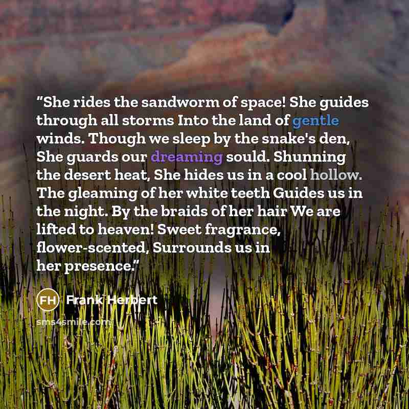 “She rides the sandworm of space! She guides through all storms Into the land of gentle winds. Though we sleep by the snake's den, She guards our dreaming sould. Shunning the desert heat, She hides us in a cool hollow. The gleaming of her white teeth Guides us in the night. By the braids of her…” quote by Frank Herbert