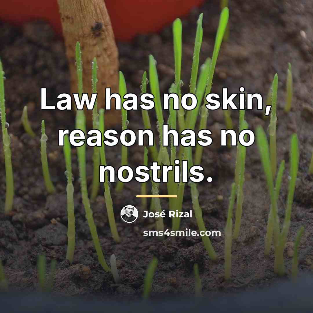 “Law has no skin, reason has no nostrils.…” quote by Jose Rizal