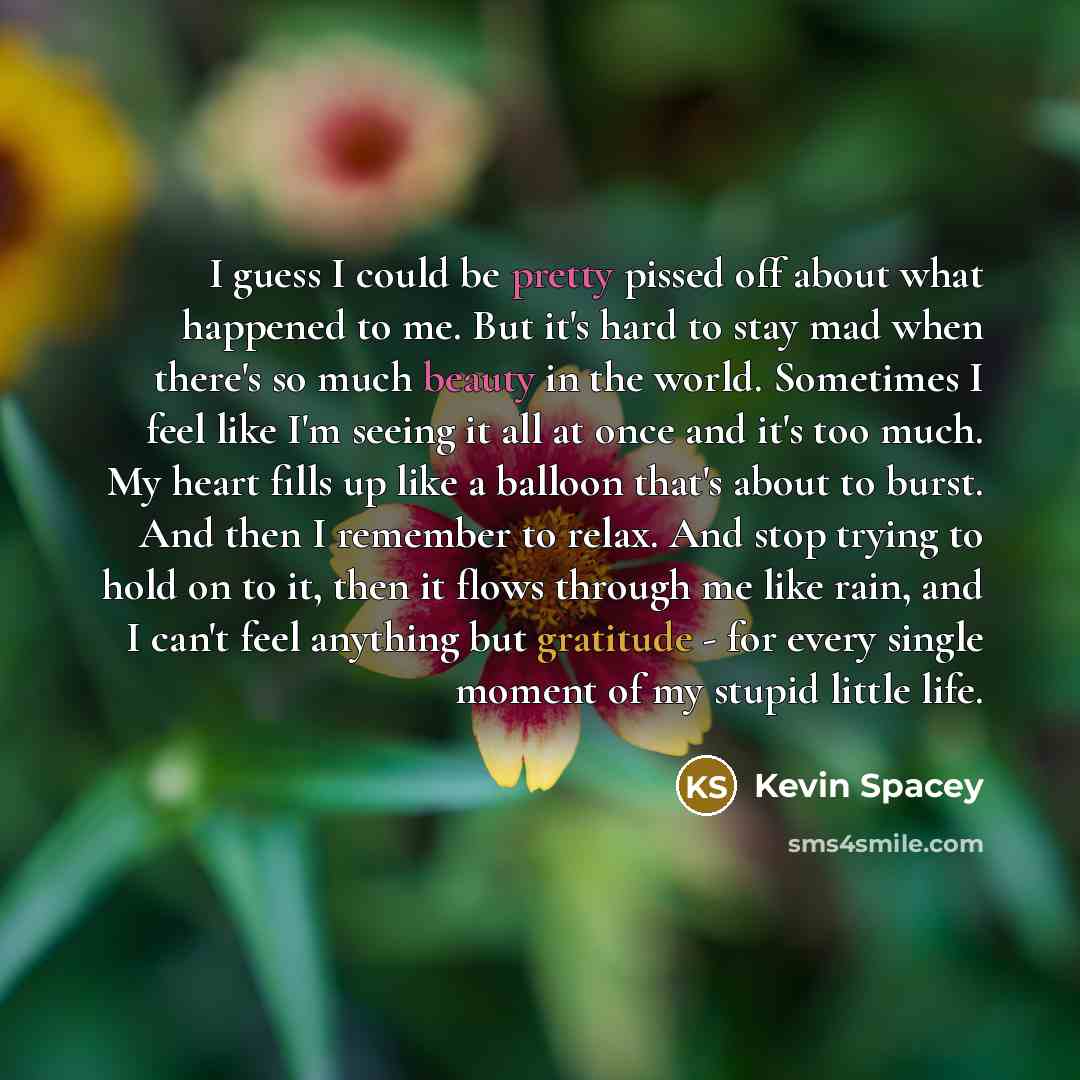 “I guess I could be pretty pissed off about what happened to me. But it's hard to stay mad when there's so much beauty in the world. Sometimes I feel like I'm seeing it all at once and it's too much. My heart fills up like a balloon that's about to burst. And then I remember to relax. And stop…” quote by Kevin Spacey