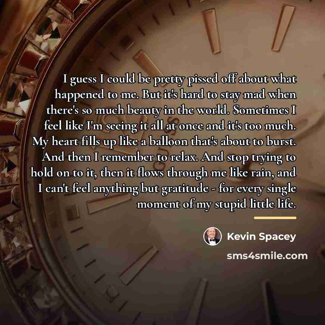 “I guess I could be pretty pissed off about what…” quote by Kevin Spacey