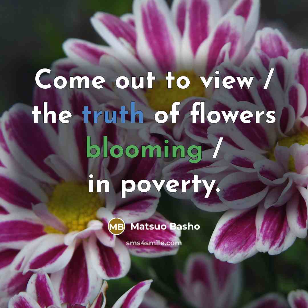 “Come out to view / the truth of flowers blooming…” quote by Matsuo Basho
