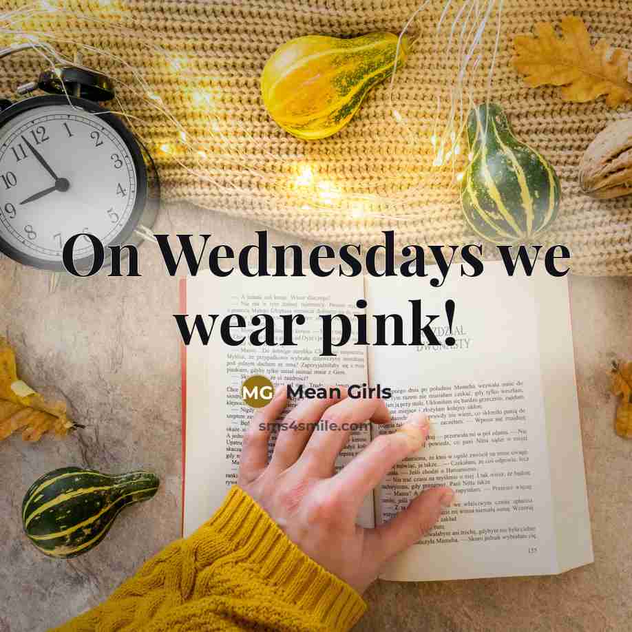 “On Wednesdays we wear pink!…” quote by Mean Girls