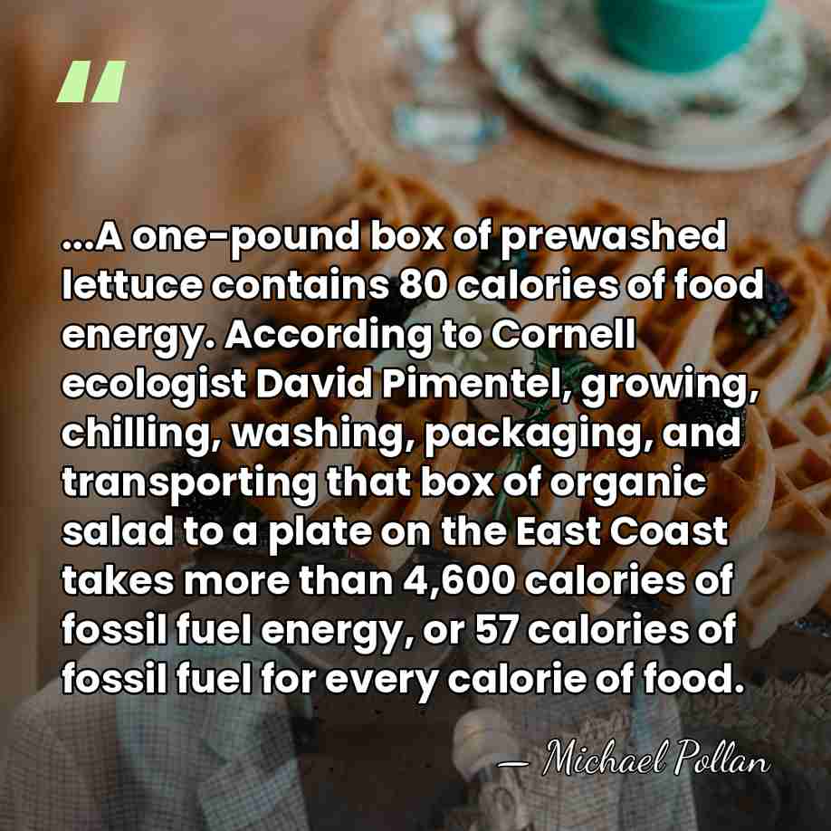 ...A one-pound box of prewashed lettuce contains 80 calories of food energy.&hellip; - Michael Pollan