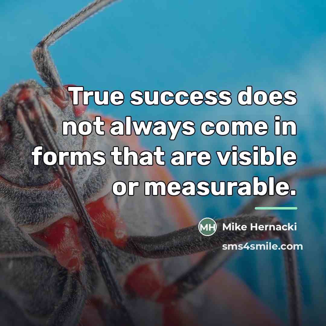 “True success does not always come in forms that are…” quote by Mike Hernacki