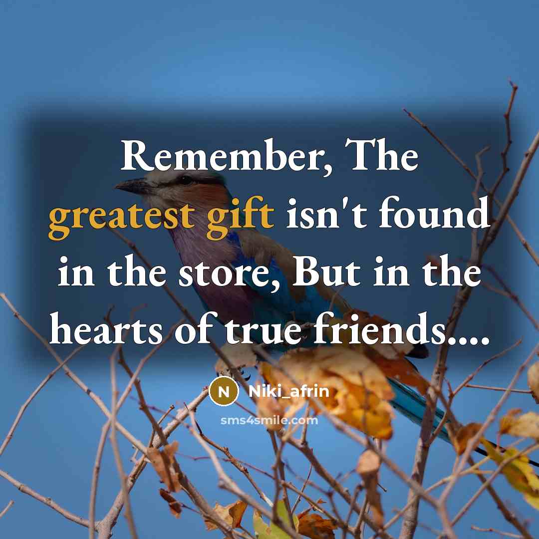 “Remember, The greatest gift isn't found in the store, But in the hearts of true friends….” quote by Niki_afrin