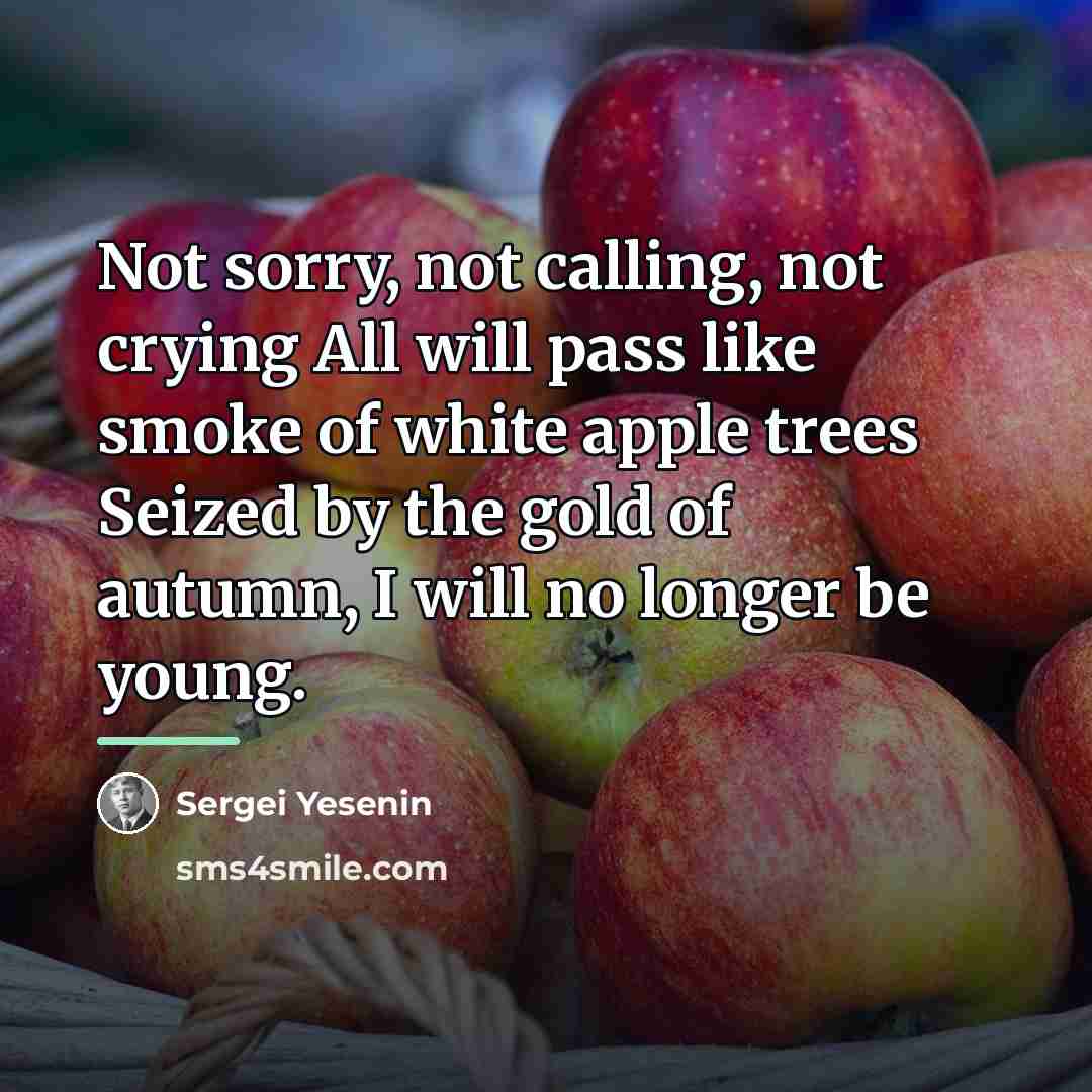 “Not sorry, not calling, not crying All will pass like…” quote by Sergei Yesenin