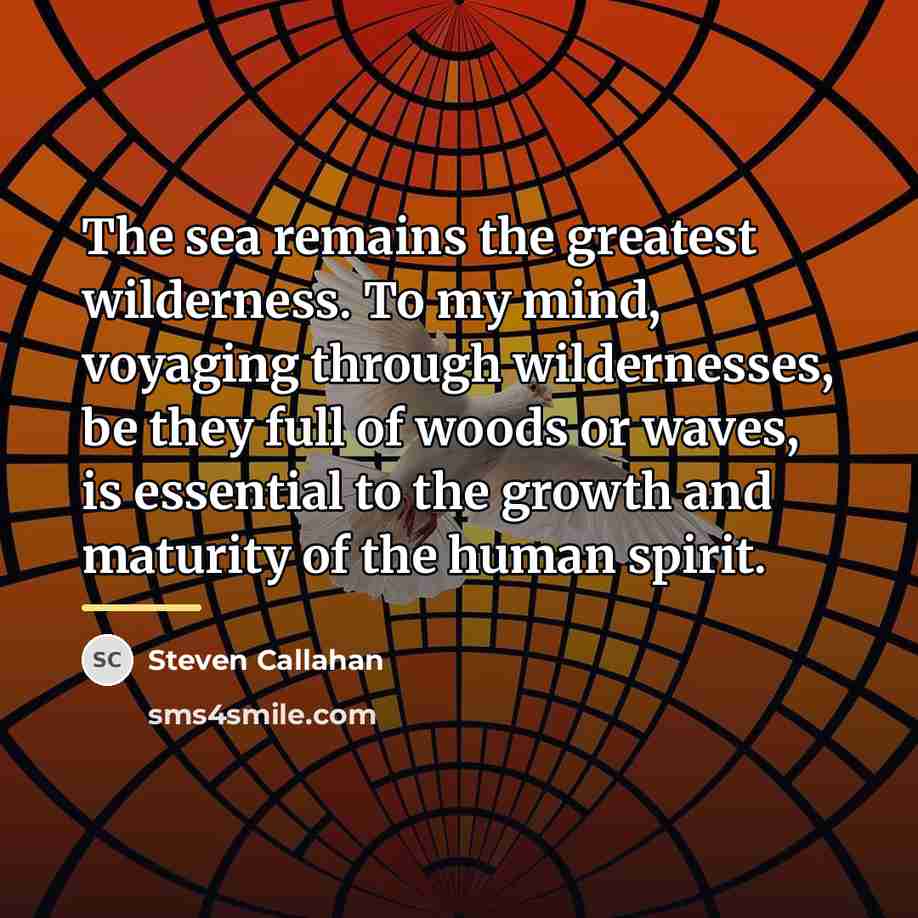 “The sea remains the greatest wilderness. To my mind, voyaging…” quote by Steven Callahan