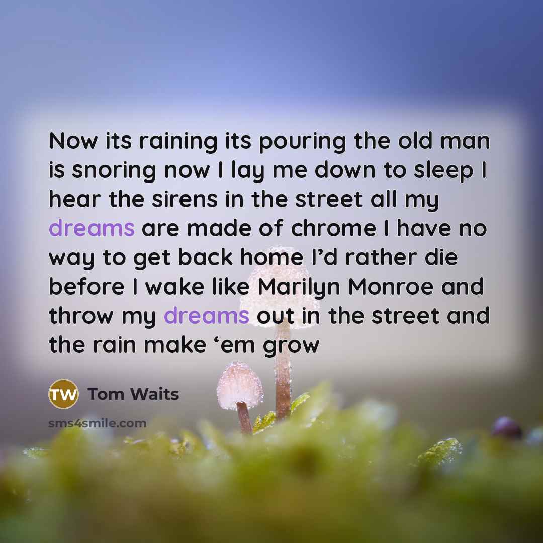 “Now its raining its pouring the old man is snoring…” quote by Tom Waits