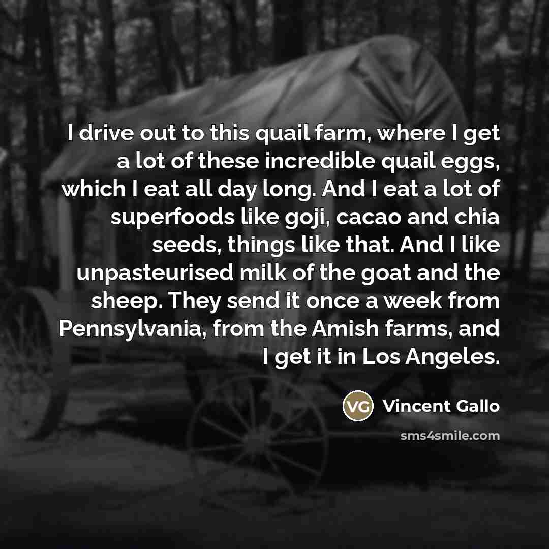 “I drive out to this quail farm, where I get…” quote by Vincent Gallo