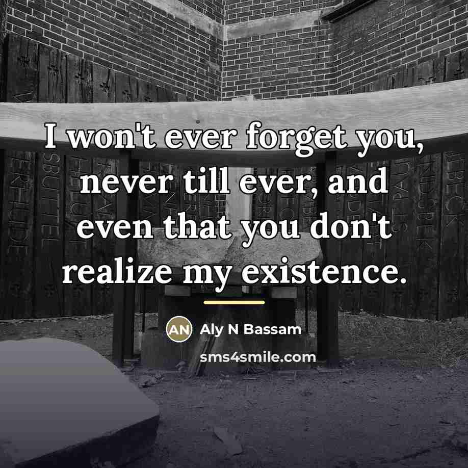 “I won't ever forget you, never till ever, and even…” quote by Aly N Bassam