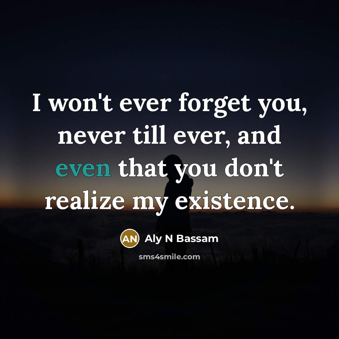 “I won't ever forget you, never till ever, and even that you don't realize my existence.” quote by Aly N Bassam