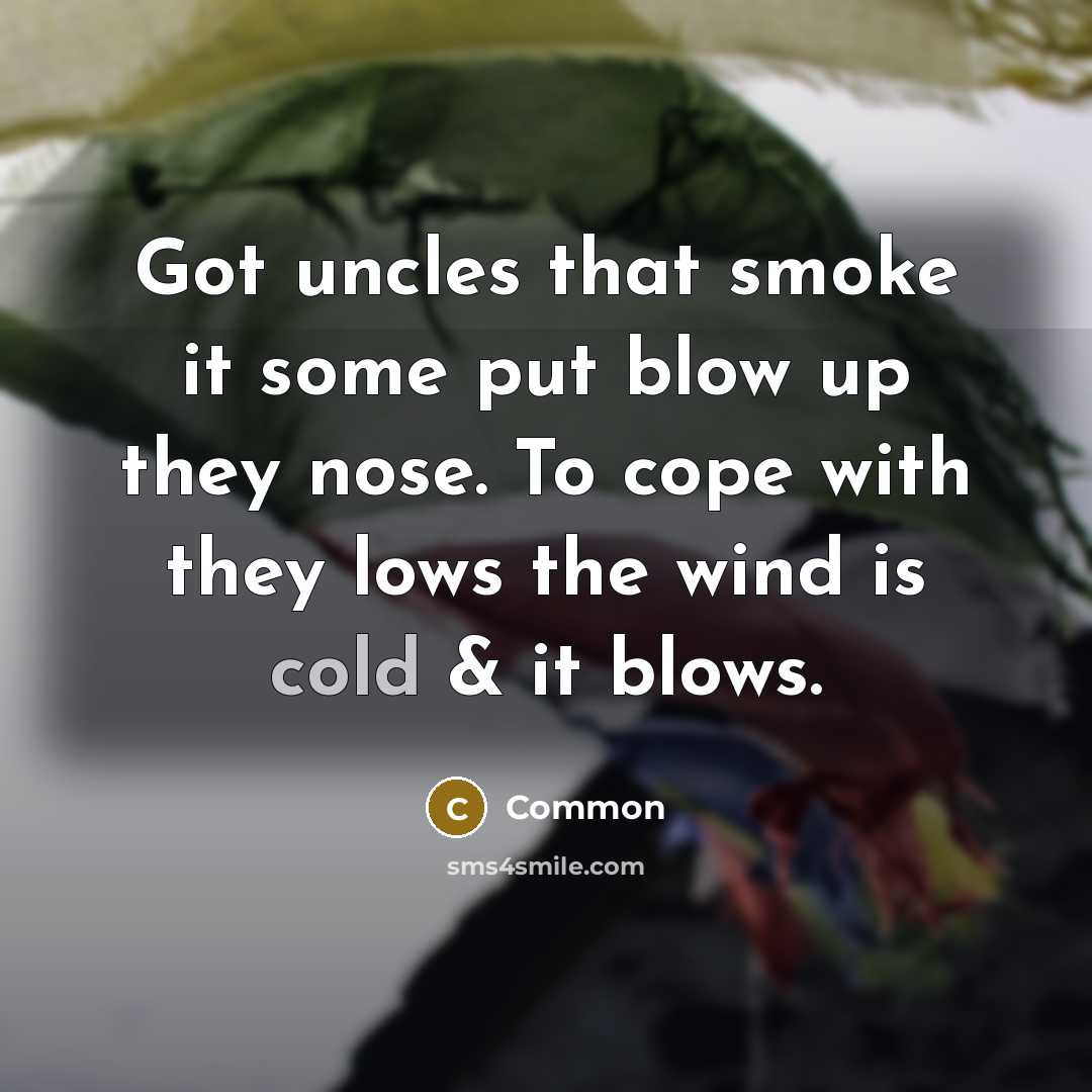 “Got uncles that smoke it some put blow up they nose. To cope with they lows the wind is cold & it blows.” quote by Common