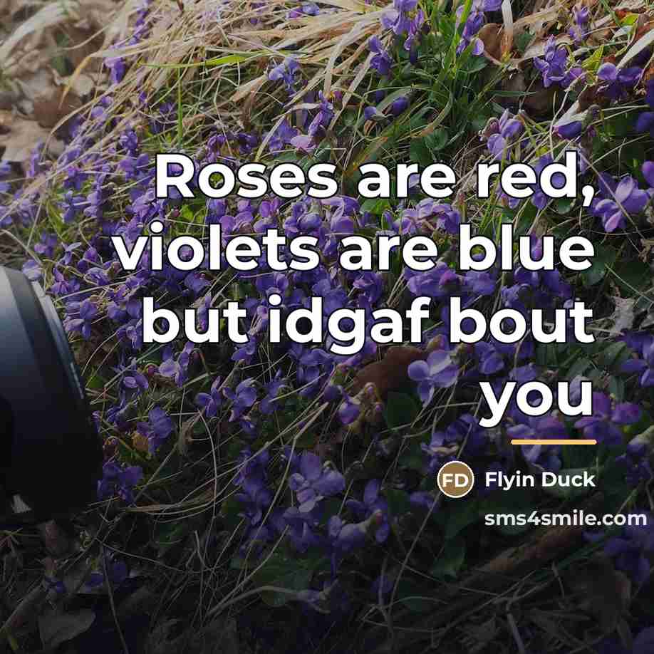 “Roses are red, violets are blue but idgaf bout you…” quote by Flyin Duck