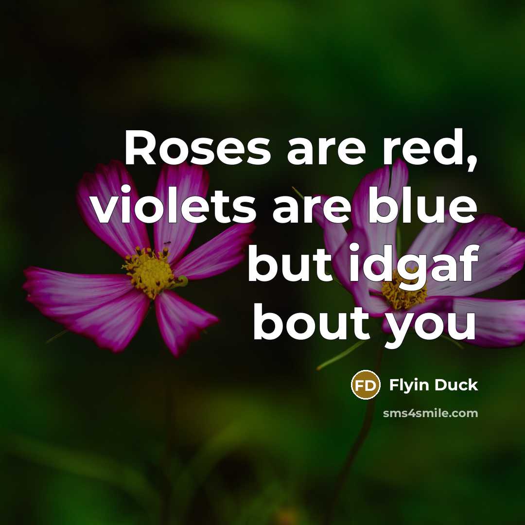 “Roses are red, violets are blue but idgaf bout you” quote by Flyin Duck