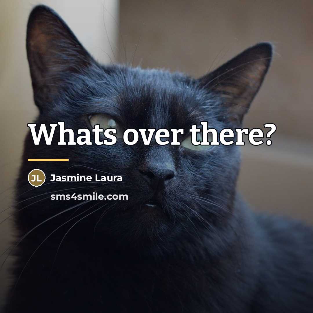 “Whats over there?…” quote by Jasmine Laura