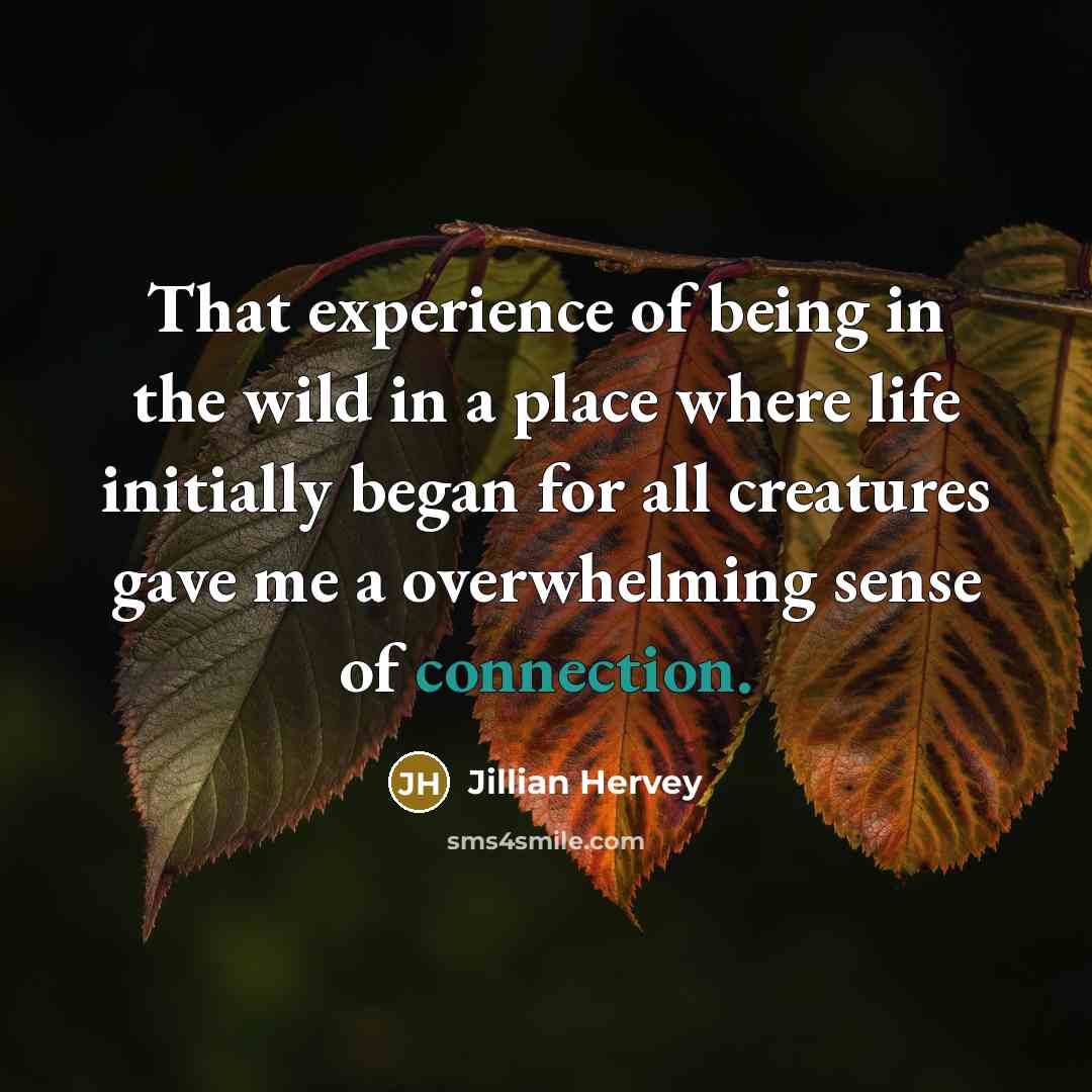 “That experience of being in the wild in a place…” quote by Jillian Hervey