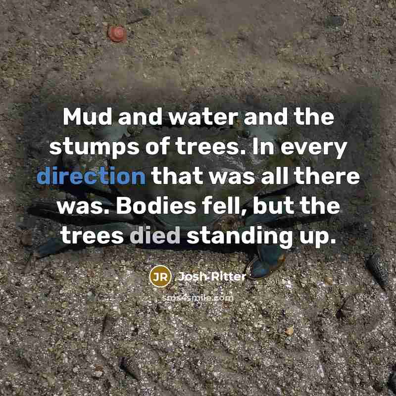 “Mud and water and the stumps of trees. In every…” quote by Josh Ritter
