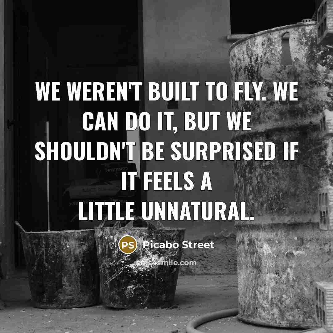“We weren't built to fly. We can do it, but…” quote by Picabo Street