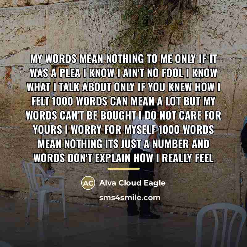 “My words mean nothing to me only if it was…” quote by Alva Cloud Eagle