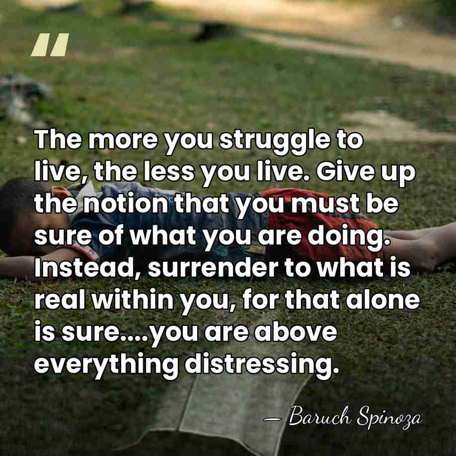 The more you struggle to live, the less you live. Give up&hellip; - Baruch Spinoza