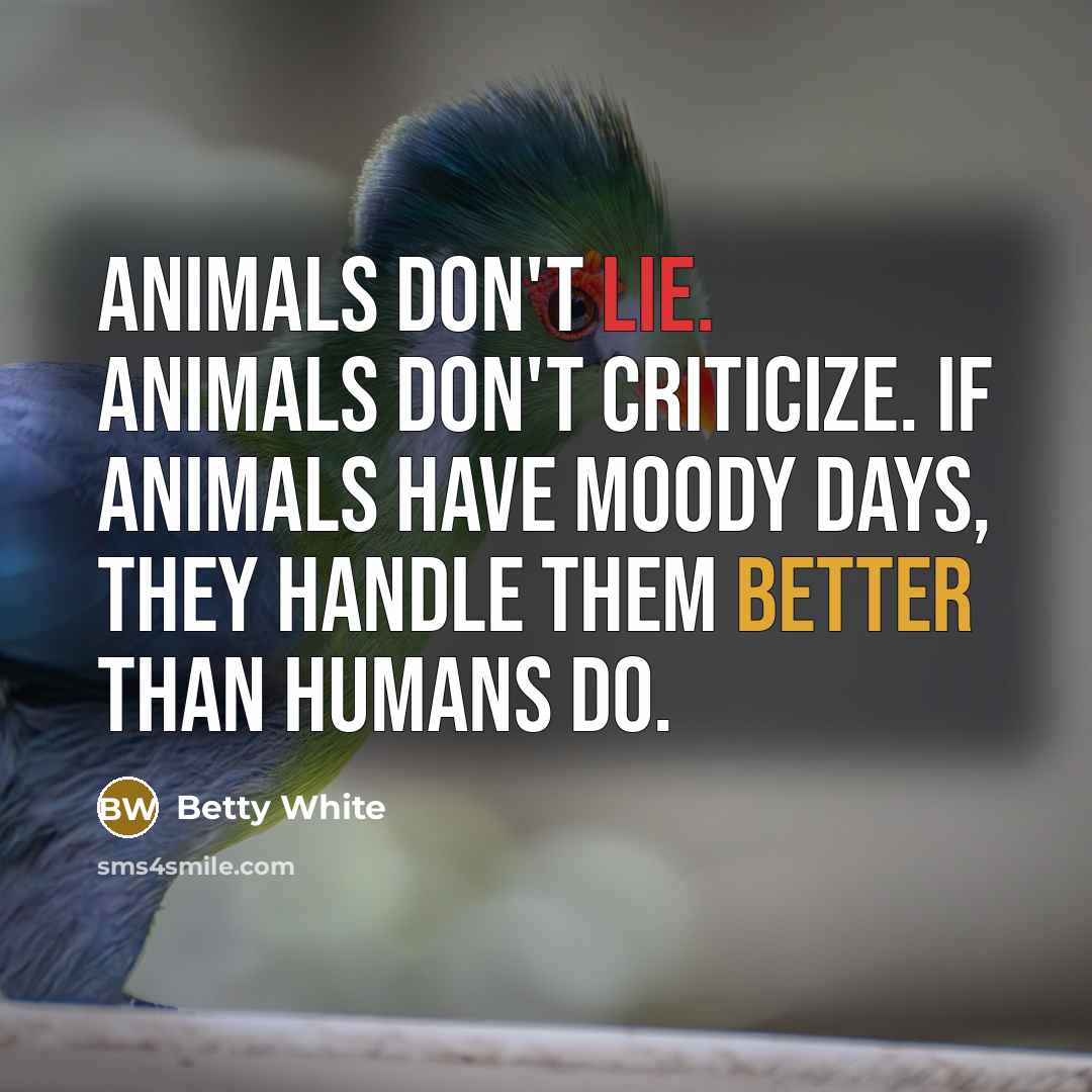 “Animals don't lie. Animals don't criticize. If animals have moody days, they handle them better than humans do.” quote by Betty White