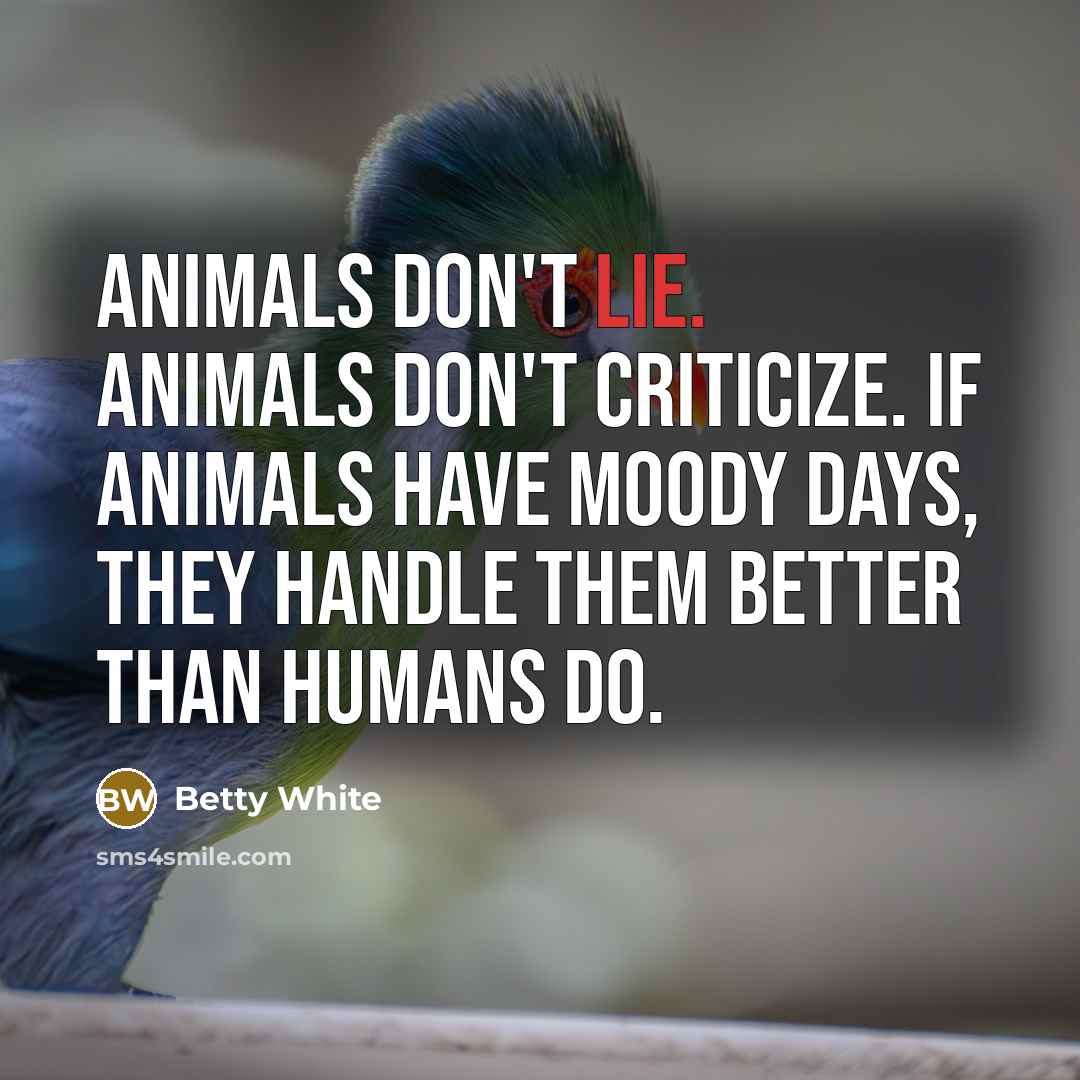 “Animals don't lie. Animals don't criticize. If animals have moody…” quote by Betty White