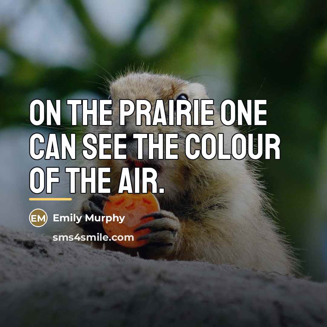 “On the prairie one can see the colour of the…” quote by Emily Murphy
