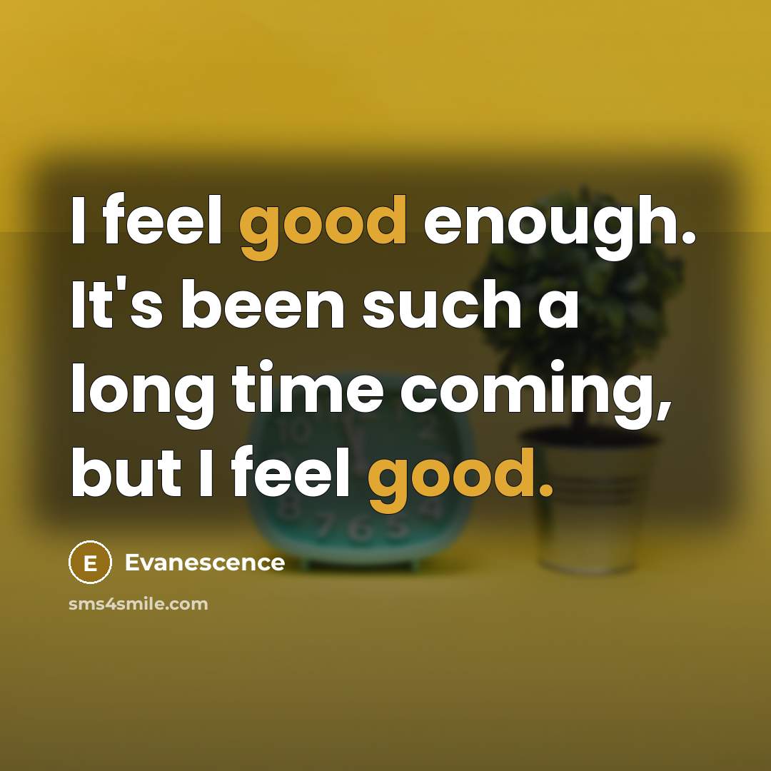 “I feel good enough. It's been such a long time…” quote by Evanescence