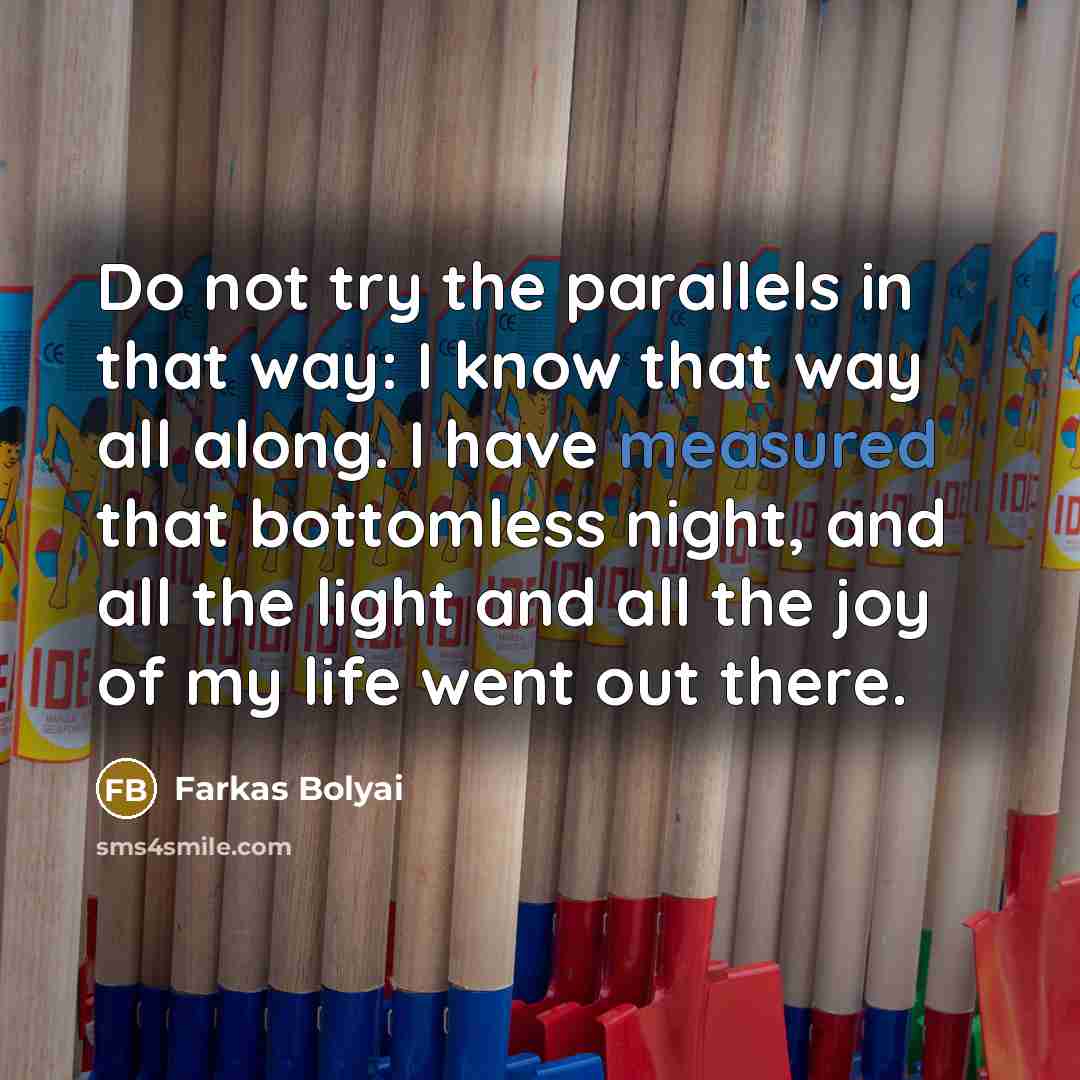 “Do not try the parallels in that way: I know…” quote by Farkas Bolyai